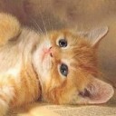 มาร์คซอย17