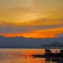 สมาชิกหมายเลข 712340