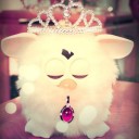 สมาชิกหมายเลข 728242