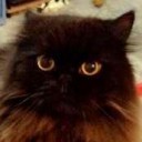 สมาชิกหมายเลข 728286