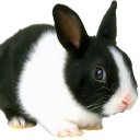 สมาชิกหมายเลข 1300879