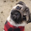 สมาชิกหมายเลข 1965869