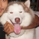 สมาชิกหมายเลข 3177683