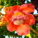 สมาชิกหมายเลข 726822