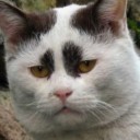 สมาชิกหมายเลข 1123971