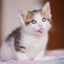 ฟ้าใสใจสว่าง