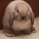 โมจิรสสตรอเบอร์รี่