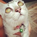 สตรีไม่ไร้รัก