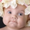 ฝรั่งน้อยจอมพลัง