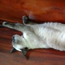 สมาชิกหมายเลข 958079