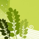 สมาชิกหมายเลข 2140555