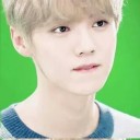 สมาชิกหมายเลข 2449190