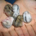 สมาชิกหมายเลข 1967183