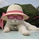 สมาชิกหมายเลข 782625