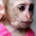 สมาชิกหมายเลข 1996133