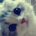 สมาชิกหมายเลข 729588