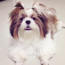 สมาชิกหมายเลข 1535480