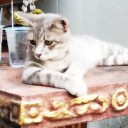 สมาชิกหมายเลข 2344249