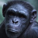 สมาชิกหมายเลข 3179267