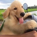 สมาชิกหมายเลข 2361585