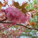 สมาชิกหมายเลข 2361950