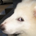 สมาชิกหมายเลข 2211668