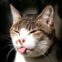 สมาชิกหมายเลข 2962275