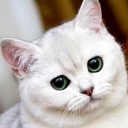 สมาชิกหมายเลข 3178195