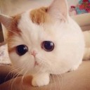 สมาชิกหมายเลข 1125818