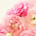 ทางธรรม_ทางสายกลาง