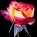 สมาชิกหมายเลข 1362750