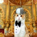 น้องแมวขี้เล่นกับป๊ะป๋าขี้เหงา