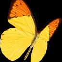 สมาชิกหมายเลข 1126285