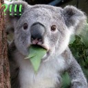 สมาชิกหมายเลข 865236