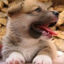 สมาชิกหมายเลข 1536522