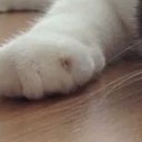 สมาชิกหมายเลข 1620626