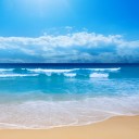 สมาชิกหมายเลข 3177934