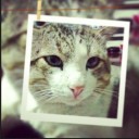 พ่อบักแชมป์