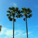 สมาชิกหมายเลข 730862