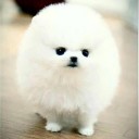 สมาชิกหมายเลข 730991