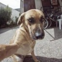 สมาชิกหมายเลข 731177