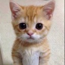 สมาชิกหมายเลข 1969215