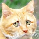 สมาชิกหมายเลข 3181070