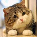 สมาชิกหมายเลข 727753