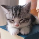 สมาชิกหมายเลข 731319