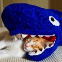 สมาชิกหมายเลข 731550