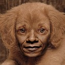 สมาชิกหมายเลข 1968285