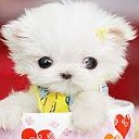 สมาชิกหมายเลข 1969351