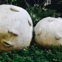 สมาชิกหมายเลข 2220259