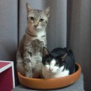 สมาชิกหมายเลข 2757531